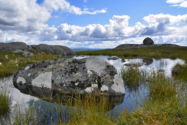 buvasstølan vardefjell stolpejakt