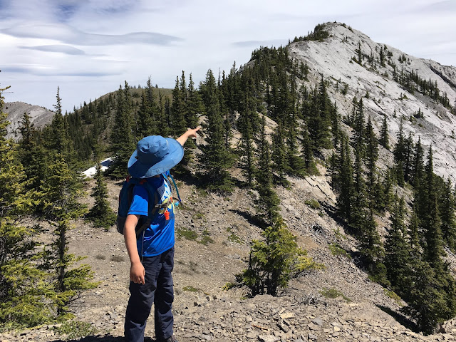 Heart Mountain Family Scramble, Family Adventures in the Canadian Rockies