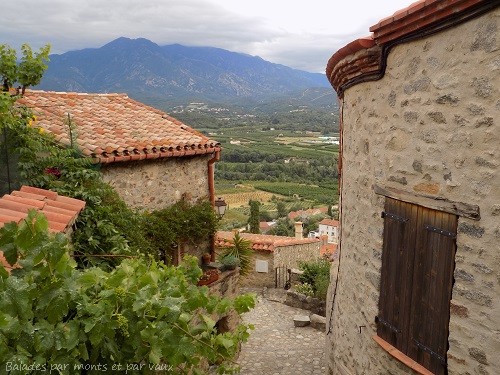 Pyrénées-Orientales