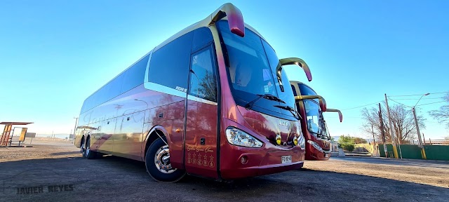 La importancia de mantener un bus limpio y ordenado