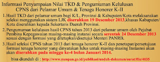 Pengumuman Hasil TKD CPNS Honorer K2 Januari Tahun 2014