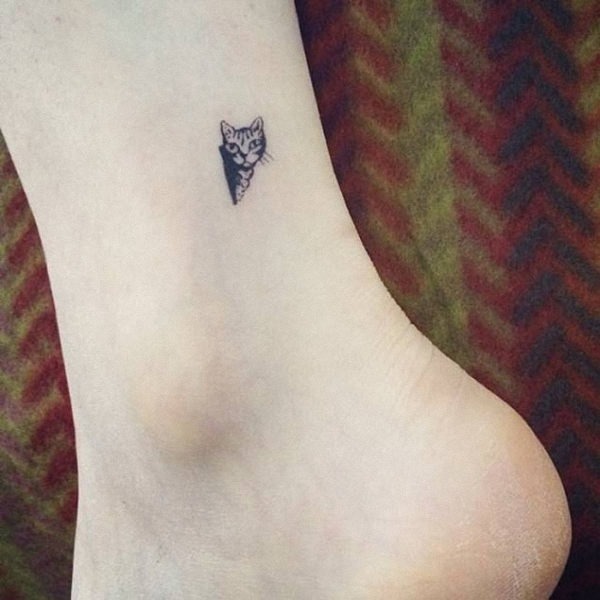 este_gato_espiando