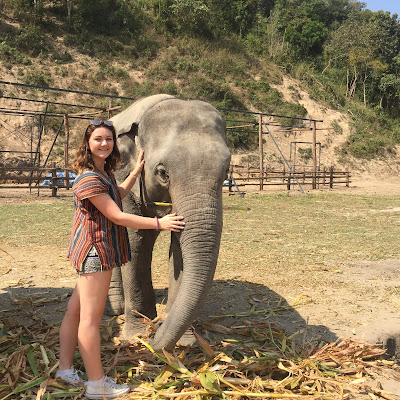 Elephant Jungle Sanctuary Chiang Mai Thailand