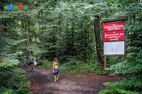 Luboń Wielki to najwybitniejszy oraz jeden z najpopularniejszych szczytów górskich Beskidu Wyspowego.