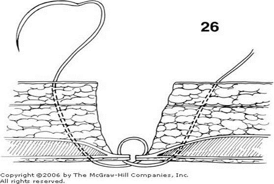 clip_image036
