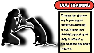 Dog training,Dog Training: Obedience Training for Dogs - Pets