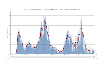 COVID-19 Positive Tests per Day