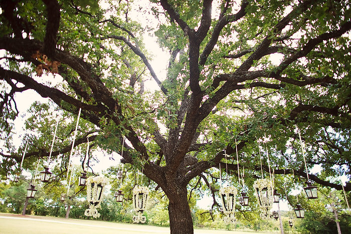  tree creating an elegant glistening backdrop for the bride and groom