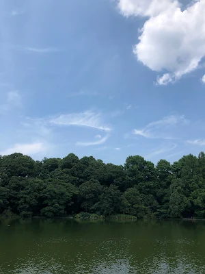 石神井公園園内の池