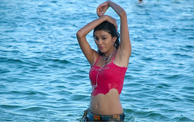 anchal beach hot photoshoot