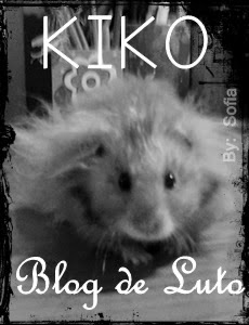 kiko, em memoria