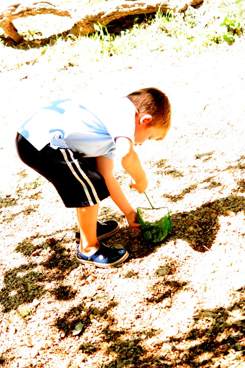 crawdads summer 2012 006