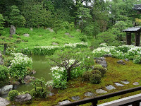 非公開の寺院だが、6/8～7/10まで書院前庭の池辺りには半夏生が群生している。