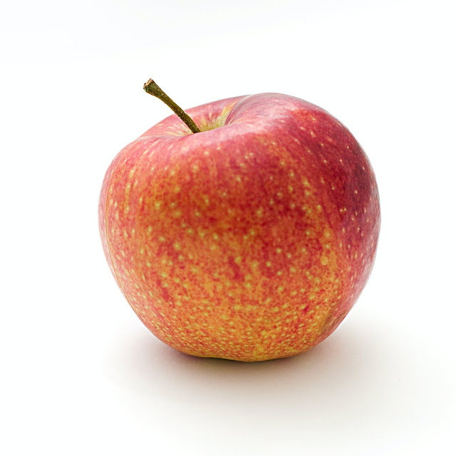 Can Dog Eat Apple