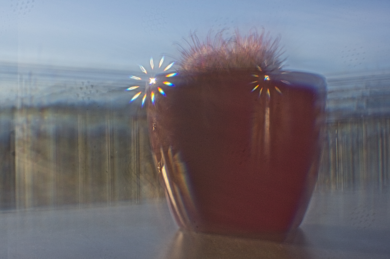 Kollimator 3.0 #30 — Sonnenbekranzter Kaktus