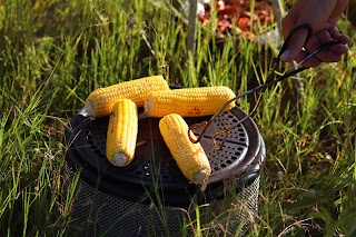 Sweetcorn