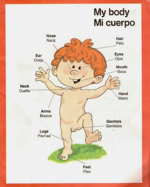 Imagen