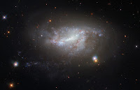 Spiral Galaxy NGC 5917