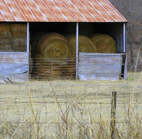 hay barns are relatively simple structures usually made of post frame 