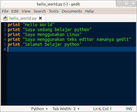 Program Python