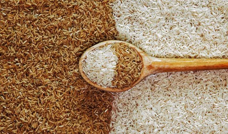 13 Benefícios do Arroz Integral à Saúde