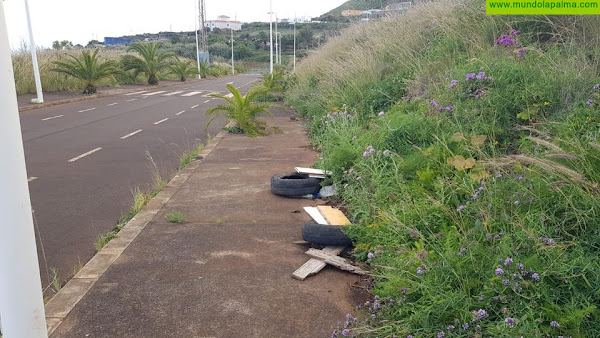 CC de Puntallana vuelve a denunciar el abandono del Llano Amador