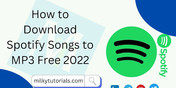 How to Download Spotify Songs to MP3 Free 2024