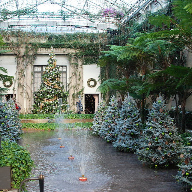 Whole view of Exhibition Hall, with its pink Bougainvillea just starting to bloom in the roof