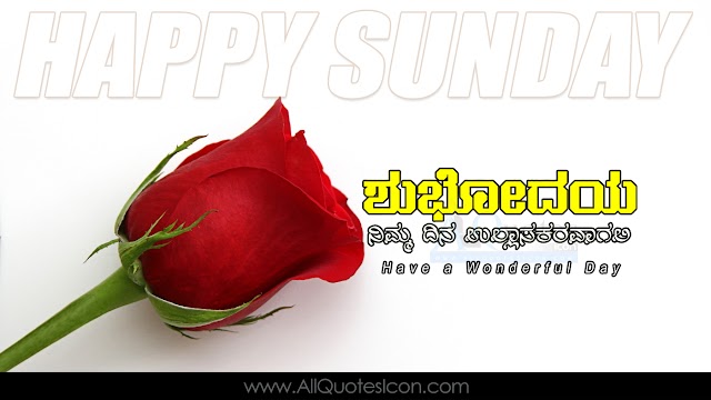 Happy Sunday Images Best Good Morning Greetings in Kannada HD Wallpapers Top Kannada Quotes Images Online Messages Free Download