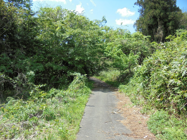 別所川に行く道を降りてみます