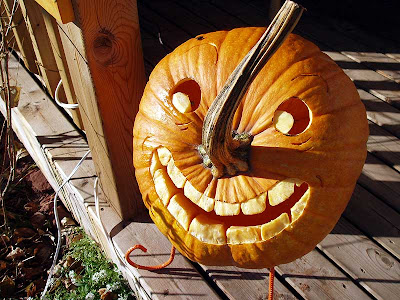 This guy is always putting his nose into other pumpkin’s business.