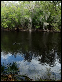 River Rise 032