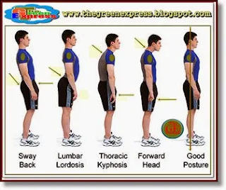 Importance of Good Posture or the Value of Good Posture