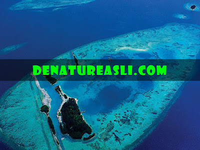 Jual Obat De Nature Di Pulau Pramuka