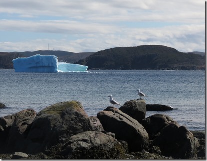 nl_sa_saint_anthony_bight2