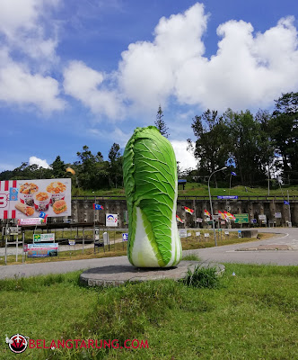 Landmark Sayur Kundasang