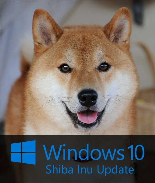 shiba-inu-windows-10-update