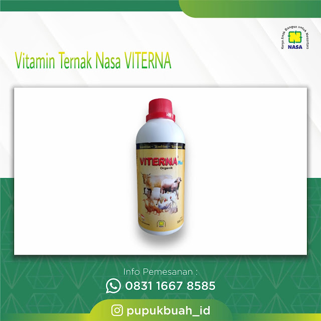 VITERNA PLUS - Vitamin Ternak Organik Nasa Original Untuk Penggemukan Hewan Ternak Anda 083116678585
