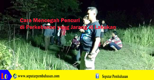 Cara Mencegah Pencuri di Perkebunan