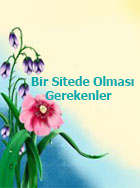 Bir Sitede Olması Gerekenler Bir Sitede Neler Olmalı