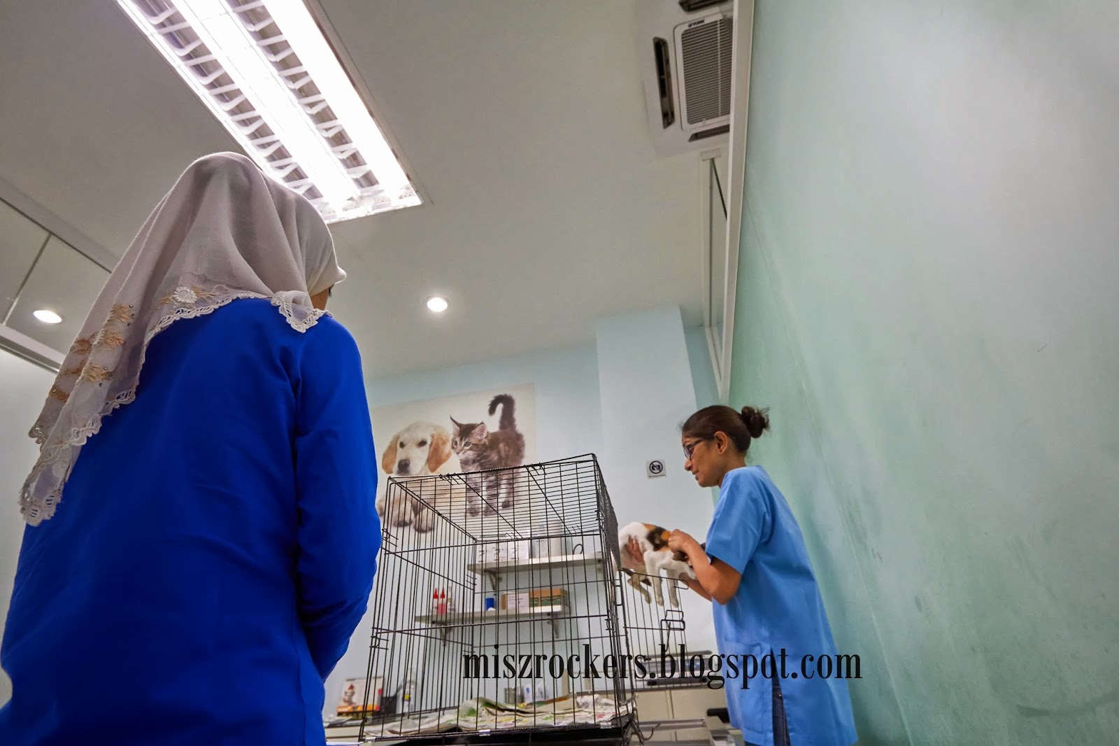 BAWA MONA KE KLINIK HAIWAN DI TAMAN MELAWATI - Ceritera Si 