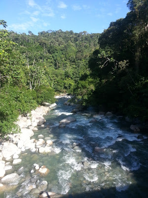 Caquetá & Putumayo's friendly fire: The river between Villagarzón & Mocoa, Putumayo, Colombia.