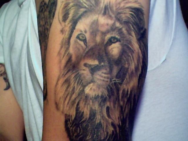 lion tattoos