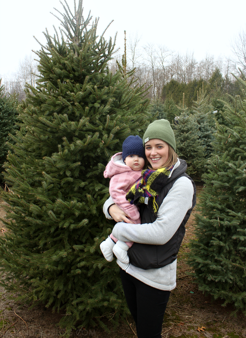 Holiday Family Traditions - A Visit to the Christmas Tree Farm