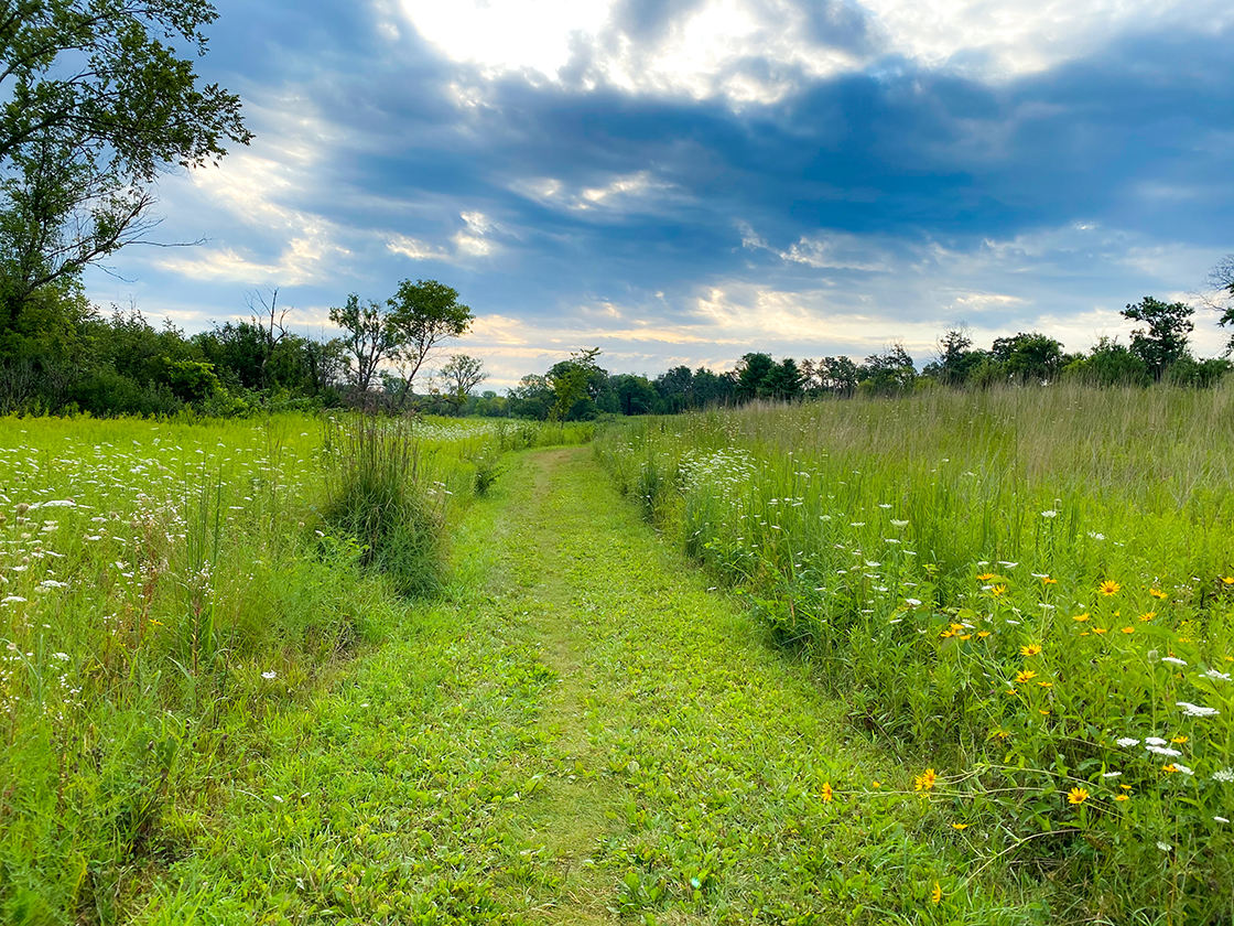 Along the trails at Merrimac Preserve