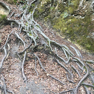 137 Nacedero del Urederra Protección y Uso Turístico. Un Tema Para el Debate. - www.nacederourederra.esEl Nacedero del Urederra necesita protección  para uso turístico y a su vez que sea un espacio natural sostenible. Es un Tema Para el Debate.    La Reserva Natural del nacedero del Urederra es un espacio a proteger,  teniendo en cuenta su estado de deterioro especialmente, en la parte más alta del mismo.  Todos los espacios  naturales se degradan, tanto por el uso de los visitantes, como  por aspectos  meteorológicos y de erosión.