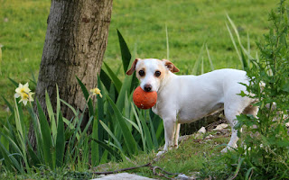 Thelma waiting for us while we look at the colour