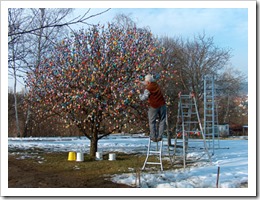 arbol