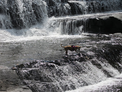 CANE CREEK CASCADES