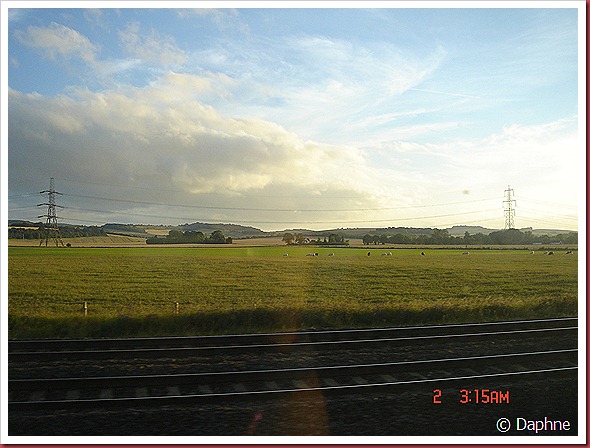 DSC07387